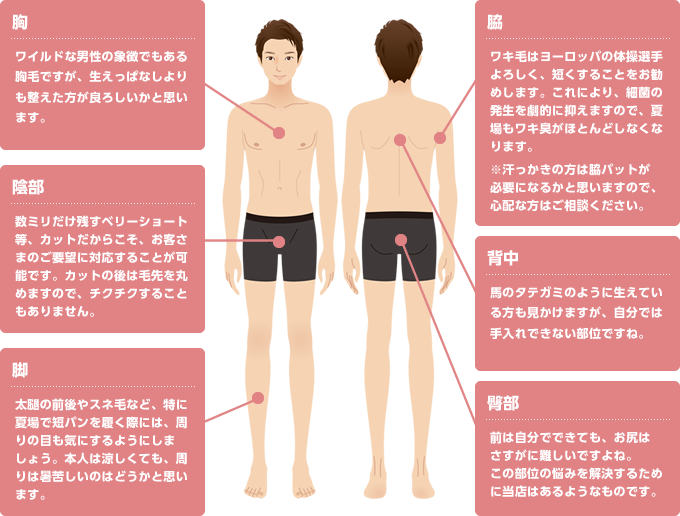 頭髪・顔以外の全身の無駄毛処理